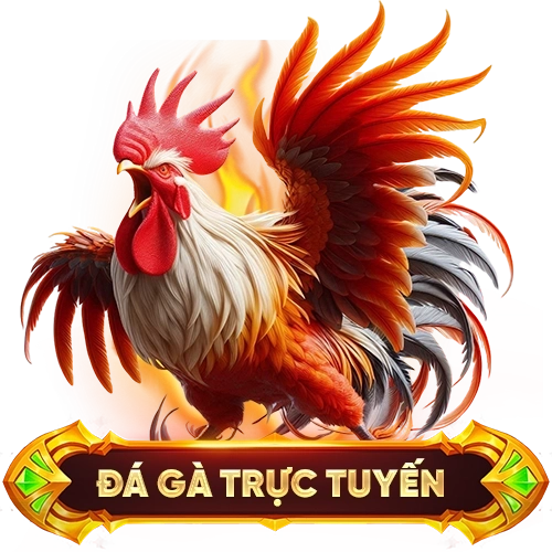 đá gà trực tuyến NOHU78